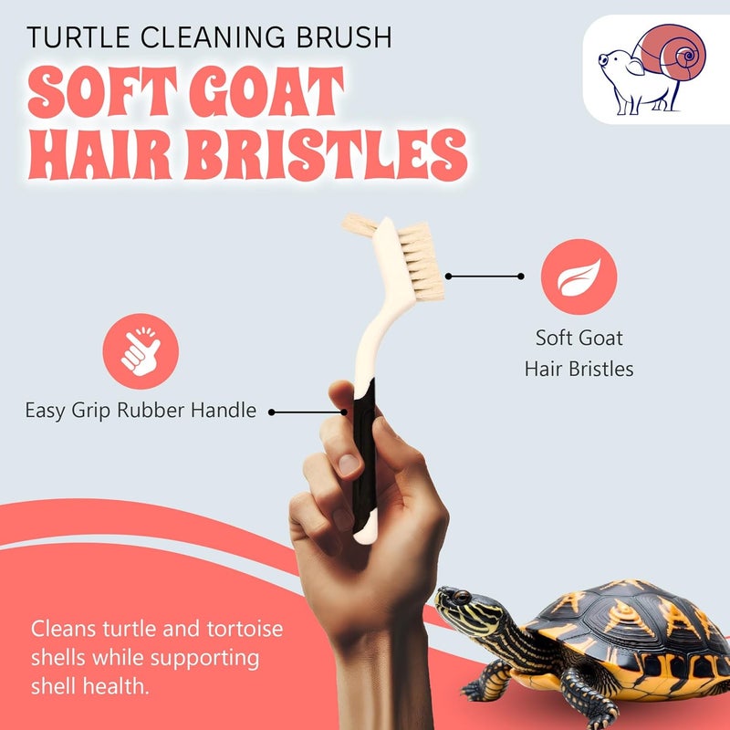 Snout and Shell Turtle Cleaning Brush Remove Aquatic Mud, Dirt, & Contaminants from Tortoises Shells & Promoting Shell Health - Goat Hair Bristle Brush with Grip Rubber Handle - White by - Image 2